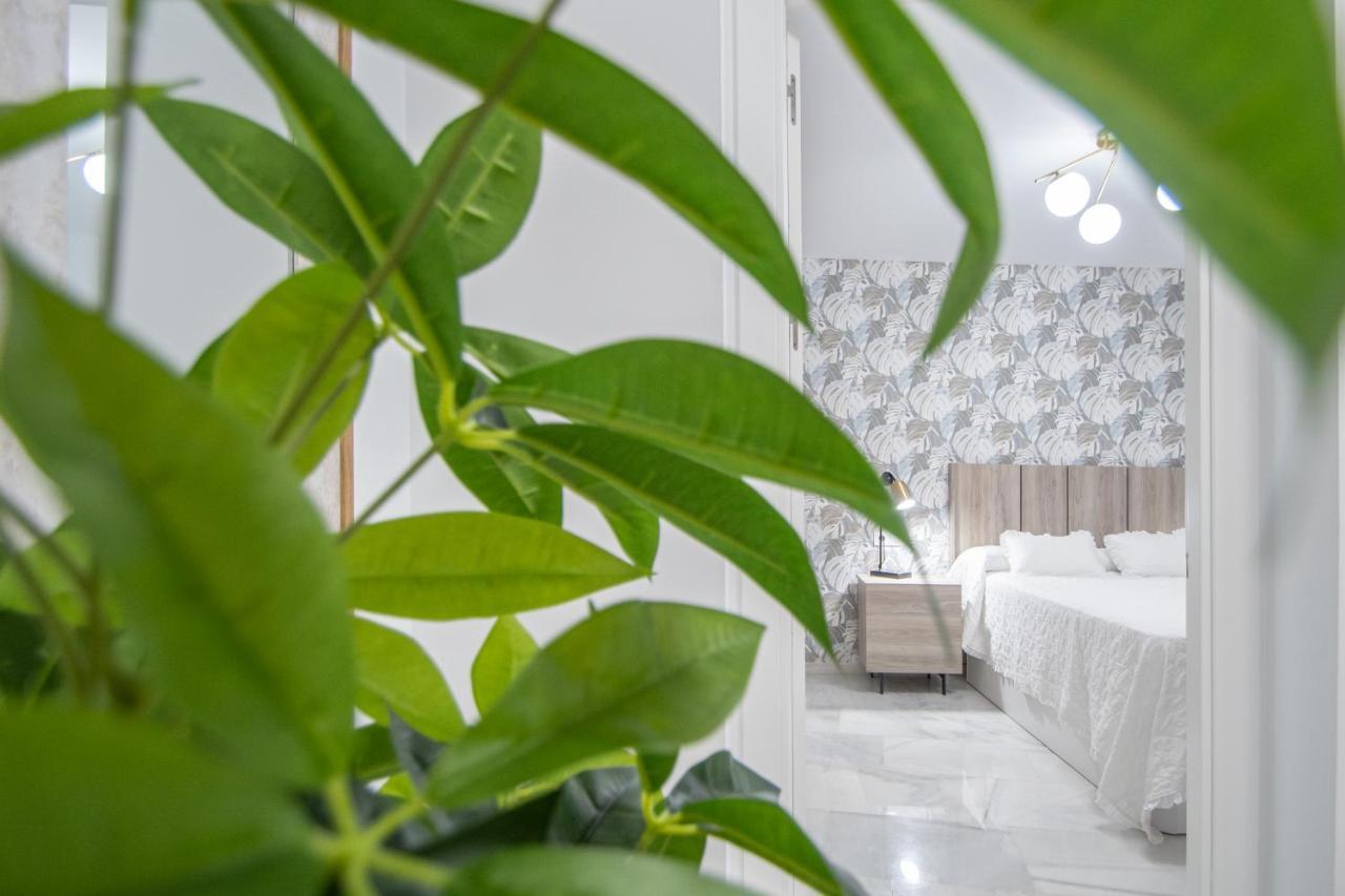 Apartamento La Magnolia De Cadiz Bagian luar foto